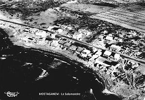 Mostaganem - Salamandre